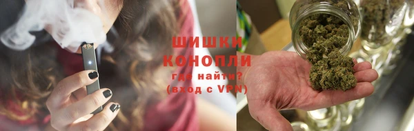 PSILOCYBIN Алзамай