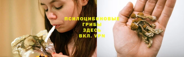 а пвп мука Алексеевка