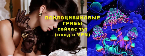 PSILOCYBIN Алзамай