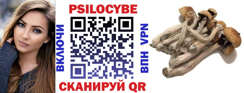 Псилоцибиновые грибы Psilocybine cubensis  что такое наркотик  Андреаполь 